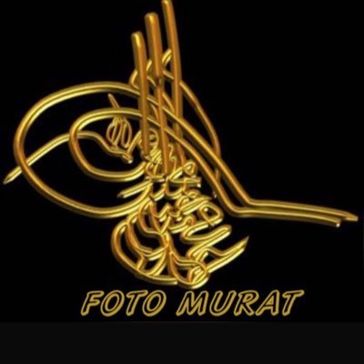 sedatt17's profile picture. @TTAksiyon #TTAksiyon