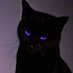 PUNKIN_RVN (@bald_bizarre) Twitter profile photo PUNKIN_RVN (@bald_bizarre) Twitter profile photo