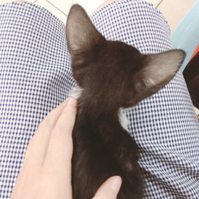 hypnos1012's profile picture. 台湾人｜20⬆️｜🦅☀️｜☀️右固定｜無言フォローすみません
女体化好き
https://t.co/icOG4Vw091
https://t.co/8MkyBQEGqC