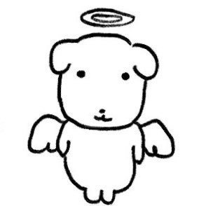 seunghyubizzang's profile picture. 게으른너구리