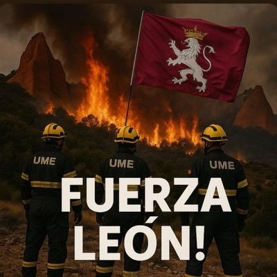 JuanjoMoro's profile picture. 