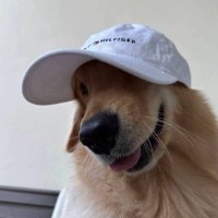 เก้ทเก้ท 🫧 (@ggeithsy) 's Twitter Profile Photo เก้ทเก้ท 🫧 (@ggeithsy) 's Twitter Profile Photo