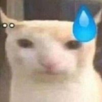co (@co0oo_) 's Twitter Profile