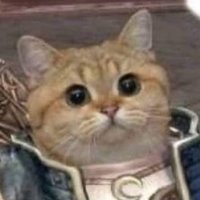 Exalt ☕️🫟 (@exaltbtw) 's Twitter Profile Photo