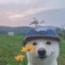 BENABOOM (@benaboom) Twitter profile photo BENABOOM (@benaboom) Twitter profile photo