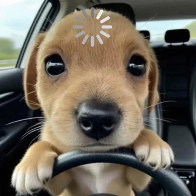 26살 일본인 남 177/62