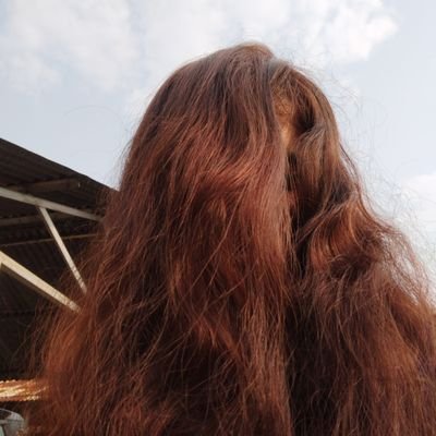 ila_yip_rd's profile picture. 