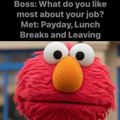 mom2sassholes's profile picture. Mom of kids and cats