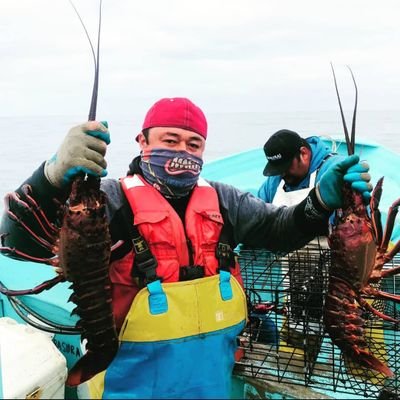 Mayrayfede96706's profile picture. 