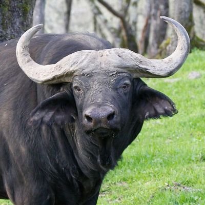 TebogoP1L's profile picture. Modimo ke 🌟