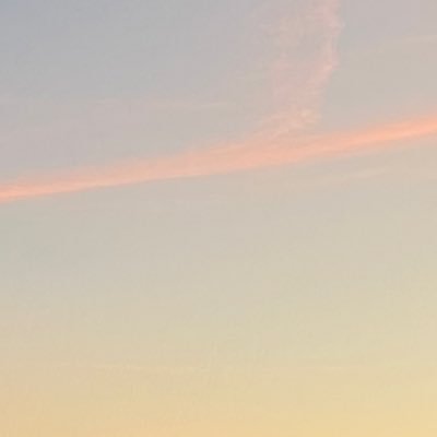 G5n1gQpld's profile picture. 06 法学編入