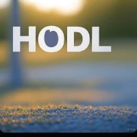 HODL (@hodlath) 's Twitter Profile