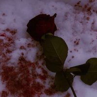 Bella πβ°qββ‘ (@b3llaw3llah) 's Twitter Profile