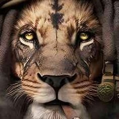 🔗 Discover Whop: https://t.co/s32zijMuAX
Blessing to all!
😊WHOP YT Channel: https://t.co/yvLgrEEIV6😊
🤑Atu Network:
https://t.co/5DozykbXf5