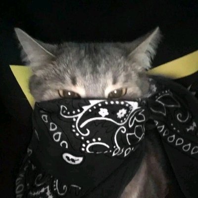 j4nextdoor_'s profile picture. 14 / obsessed with old shit / he/him