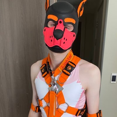 20 | he/him | switch | single | BI | 18+ only | AD of @lighter3867 | latex puppy