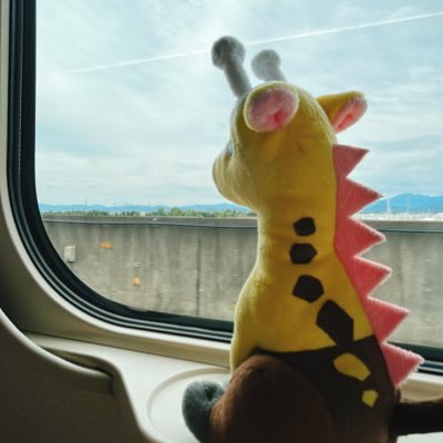 新潟でポケカしてる下振れデフォの人。ポケモンと日常。推しはかくとうタイプ👊 クマとキリンが好きです。