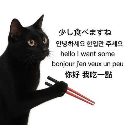 梅崎さんのプロフィール画像