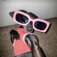beachxx (@sandxxbeach) 's Twitter Profile Photo beachxx (@sandxxbeach) 's Twitter Profile Photo
