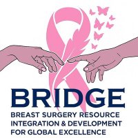 BRIDGE (@bridge1837377) 's Twitter Profile