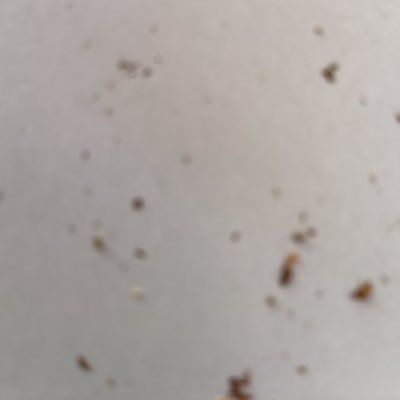 krttkl's profile picture. 