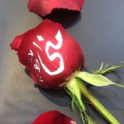 منى العريني🌷💕 Profile