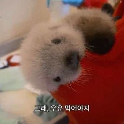 oxasca's profile picture. ♡˚. ⌗  ꒱