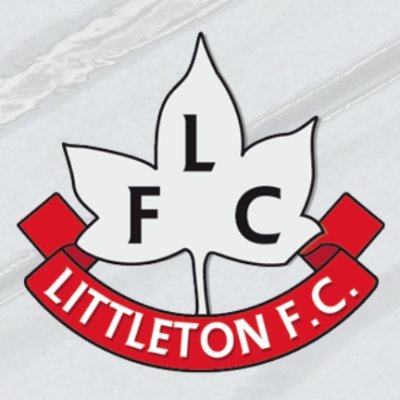 Members of the Hummel Herefordshire Football League prem #thetonboys #uptheton 🍁