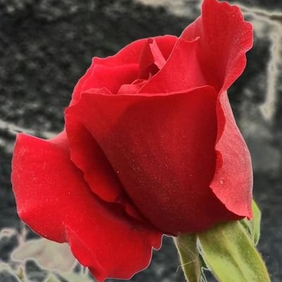 JJanjee75751's profile picture. 