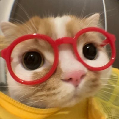 wealxe's profile picture. 이게 일상계인지 아이딧 사담계인지