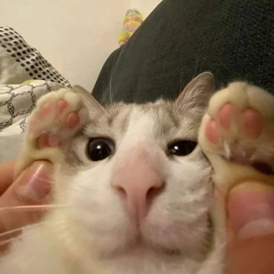 Doorpostlumping's profile picture. Yeah.