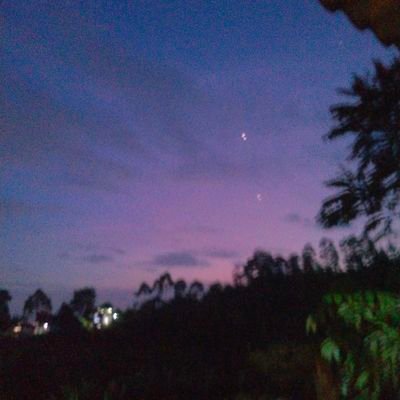 jefryy_12's profile picture. 