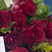 Merve Turan (@meerveturaan_) 's Twitter Profile Photo