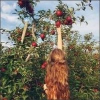 Selina (@bc7ds4ll2q4ku6) 's Twitter Profile