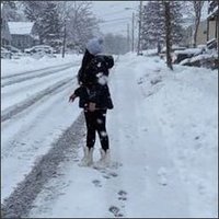 Dwiehau (@dwiehau85908) 's Twitter Profile