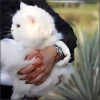 Uiwejer (@uiwejer5598) 's Twitter Profile