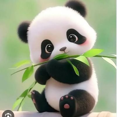 poojamallik0130's profile picture. 