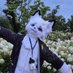 ꒰১ 루엔 (@ruen_fur) Twitter profile photo ꒰১ 루엔 (@ruen_fur) Twitter profile photo