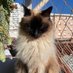 Elisabete (@elisabete159357) Twitter profile photo Elisabete (@elisabete159357) Twitter profile photo