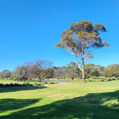 kusuma_gina's profile picture. 