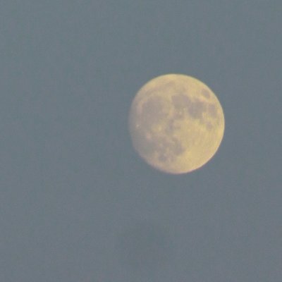 Anonlurker27557's profile picture. pronouns: nick/her