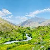 hemat_habib's profile picture. 