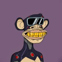 Cryptonova (@cryptonova2244) 's Twitter Profile