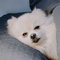 🖤💛 (@house3122) 's Twitter Profile Photo 🖤💛 (@house3122) 's Twitter Profile Photo