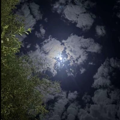 fhdlrwy47562860's profile picture. 