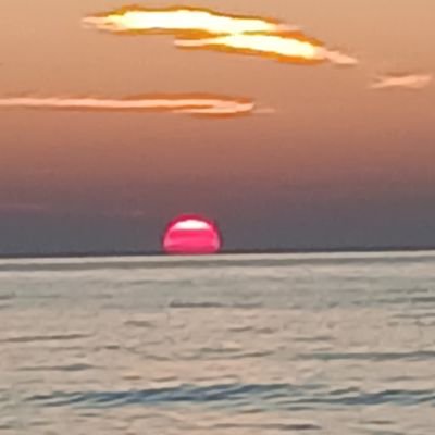 BrandieK98066's profile picture. 