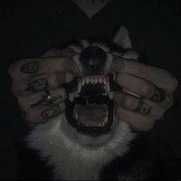 Noahfence (@nonodigo) 's Twitter Profile