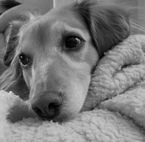 ainhoadelsol's profile picture. 