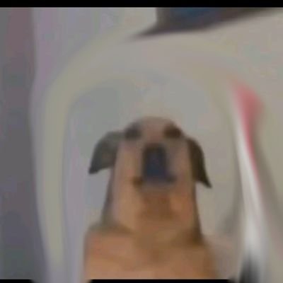 BnnBnn624766's profile picture. 