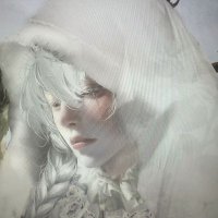 eli (@pervertedog) 's Twitter Profile